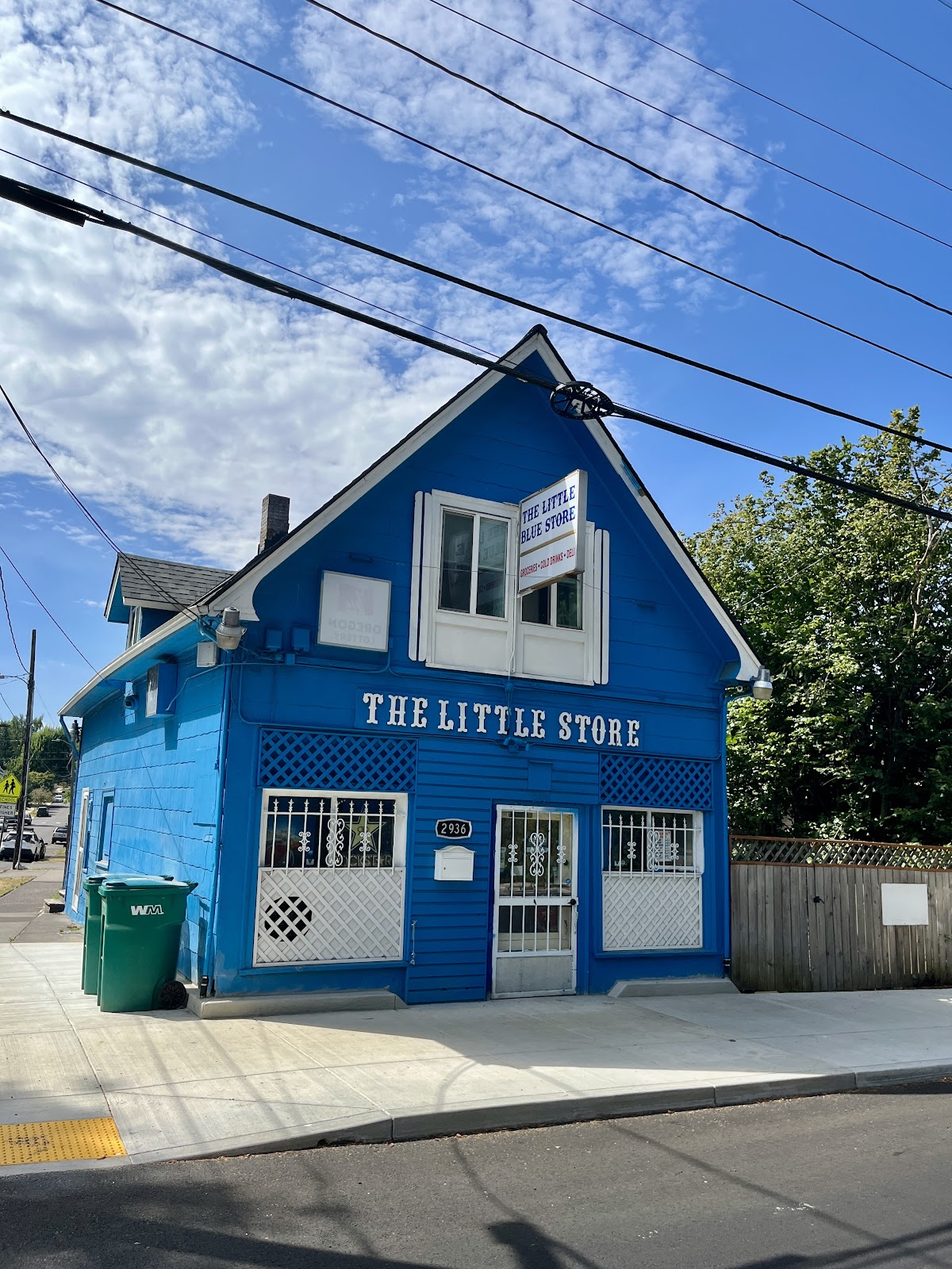 The Little Blue Store