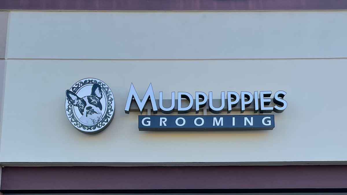 Mudpuppies Grooming