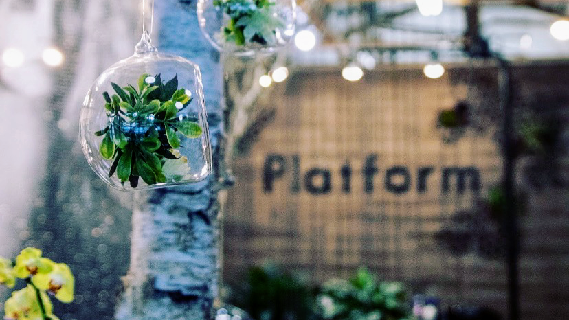 Platform Artistic Salon